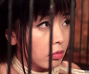 Petite Asian lesbian anal banged lezdom