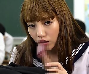 JAV PMV